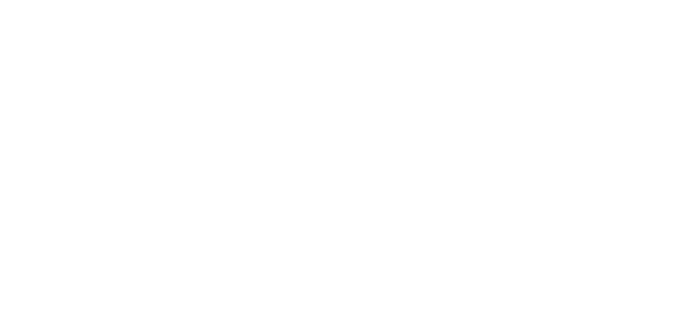 Grupo Parlamentario Morena, Ciudad de México, III Legislatura
