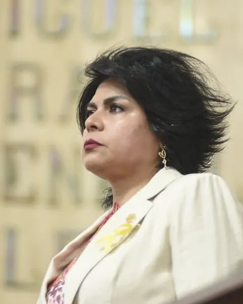Iliana Ivón Sánchez Chávez